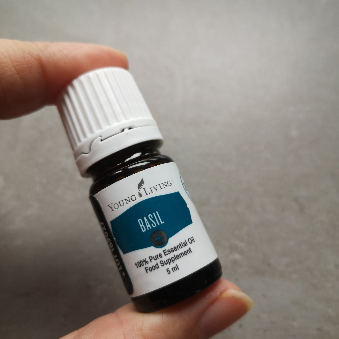 Basil - Basilikum - 5ml - plus Öl - Young Living