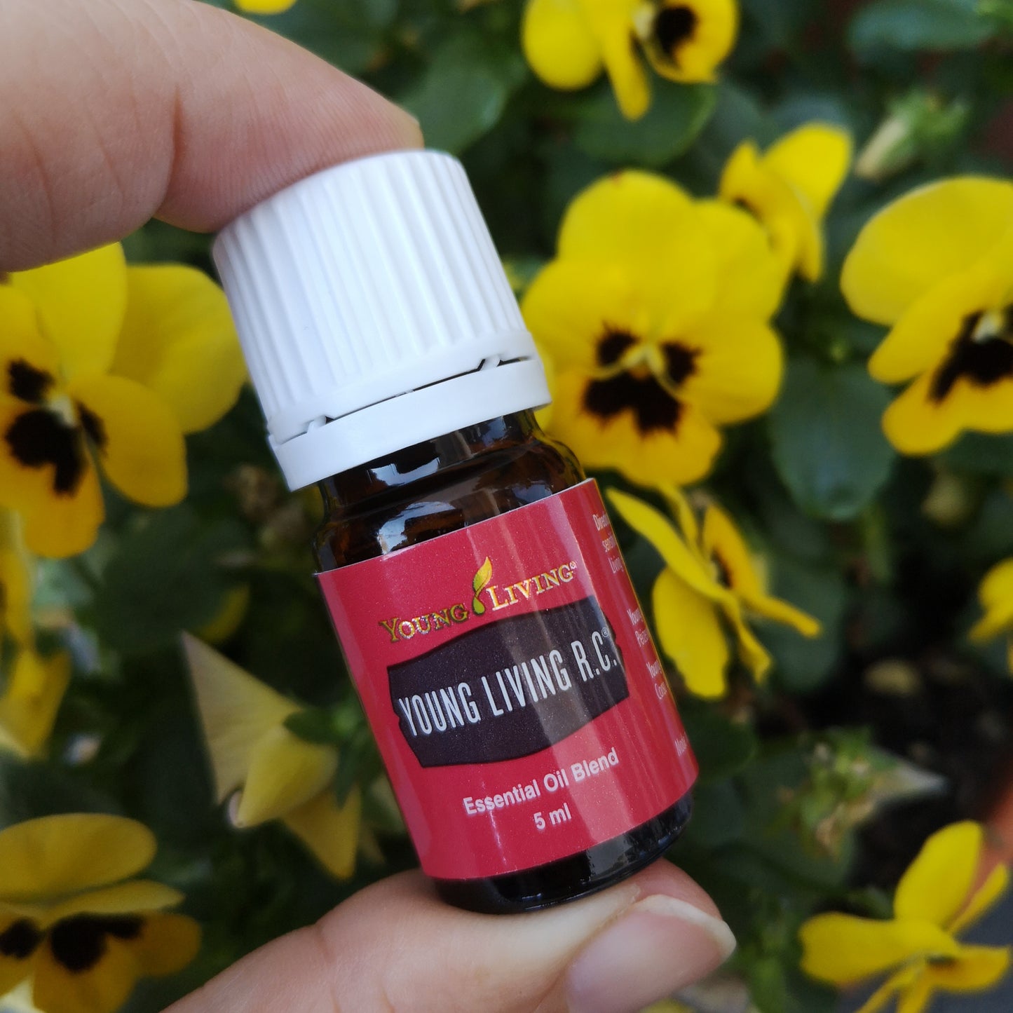 Young Living R. C. - 5ml - Young Living