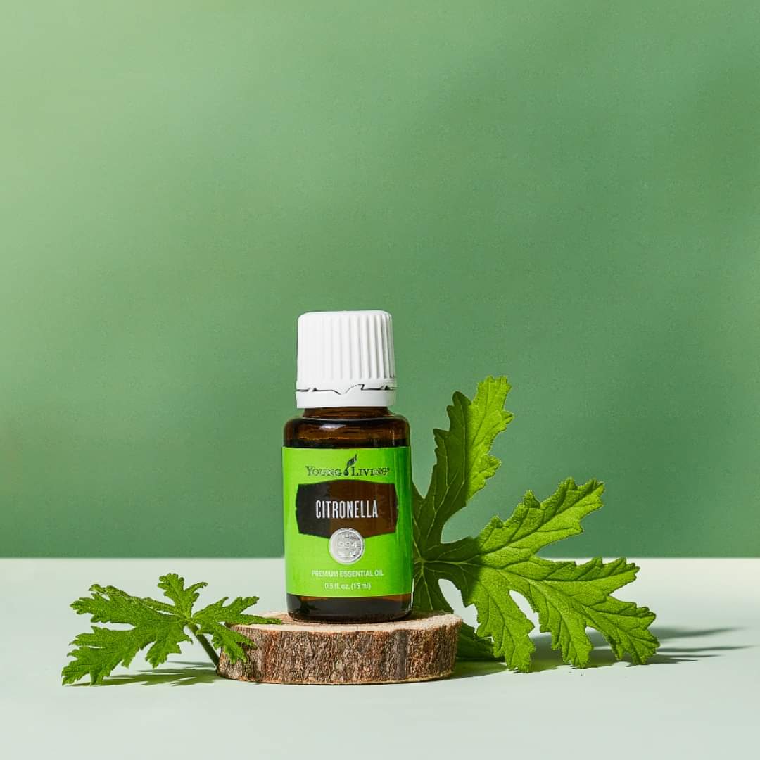 Citronella - 5ml - Young Living