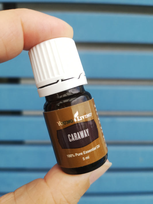 Caraway - Echter Kümmel - 5ml - Young Living