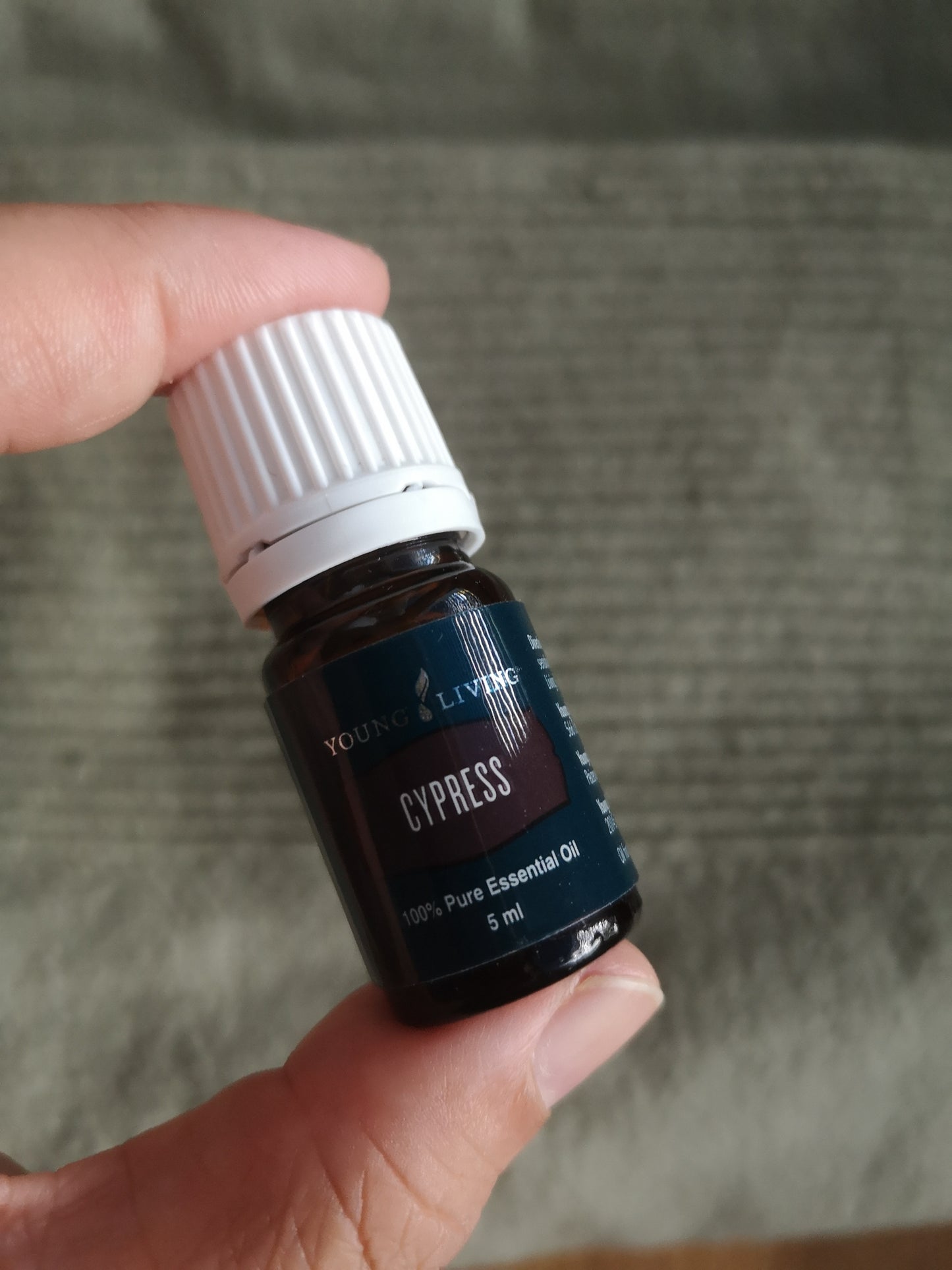 Cypress - Zypresse - 5ml - Young Living