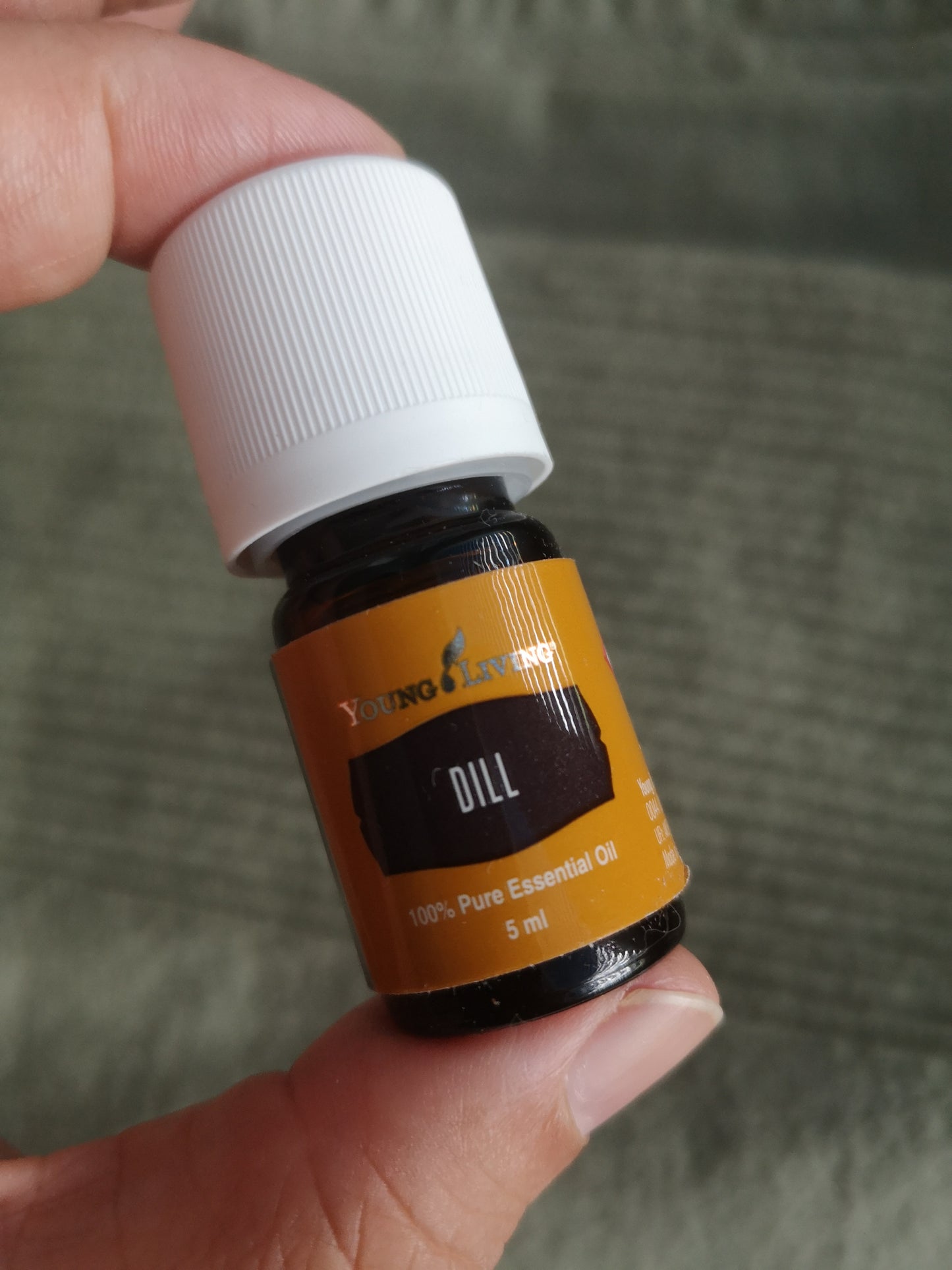 Dill - 5ml - Young Living