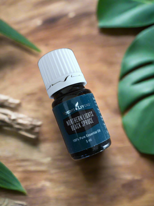 Northern lights black spruce Young Living ätherisches Öl 