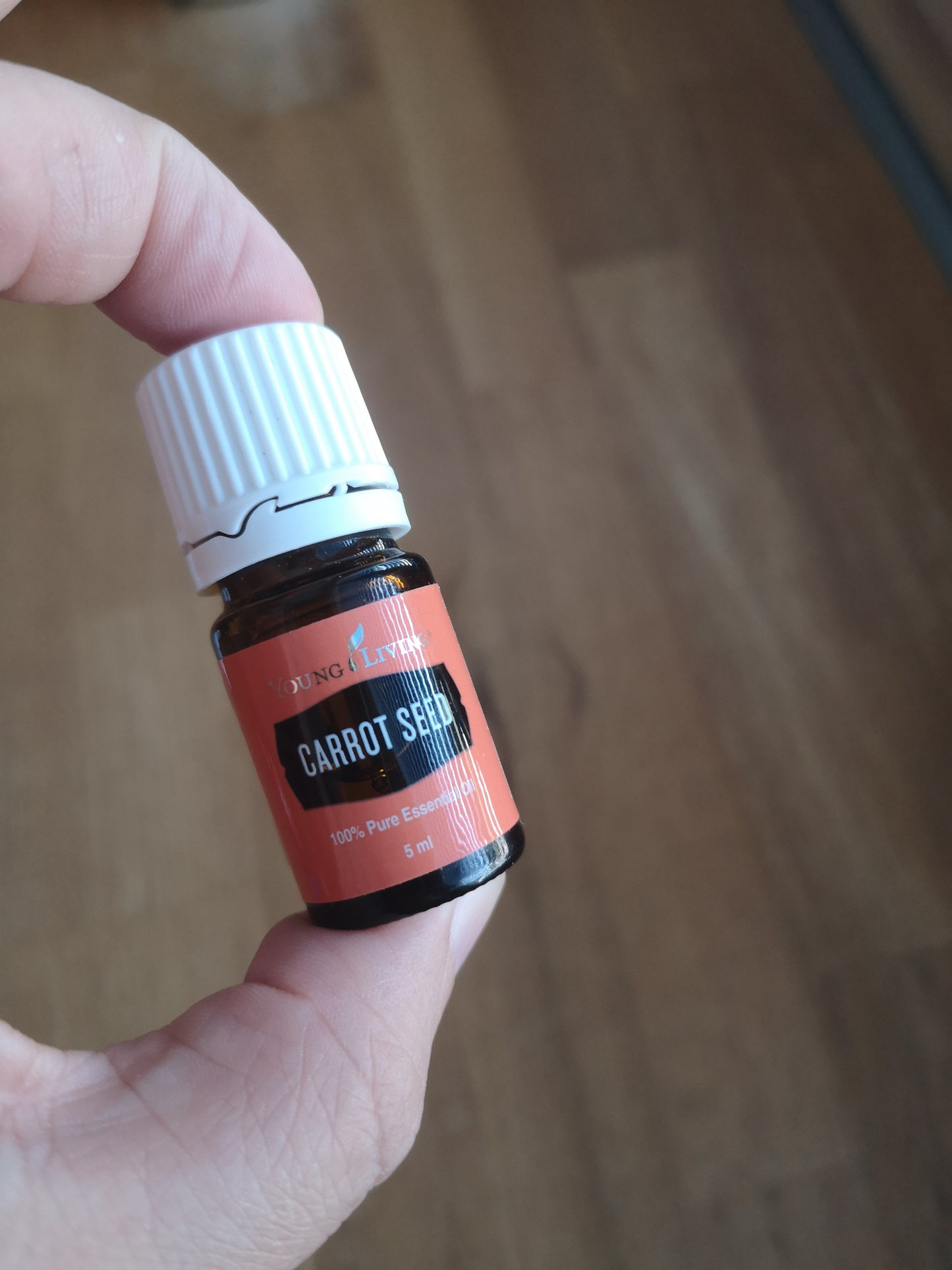 Carrot seed - Karottensamenöl - 5ml - Young Living