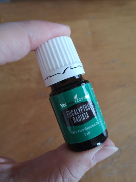 Eucalyptus Radiata - 5ml - Young Living